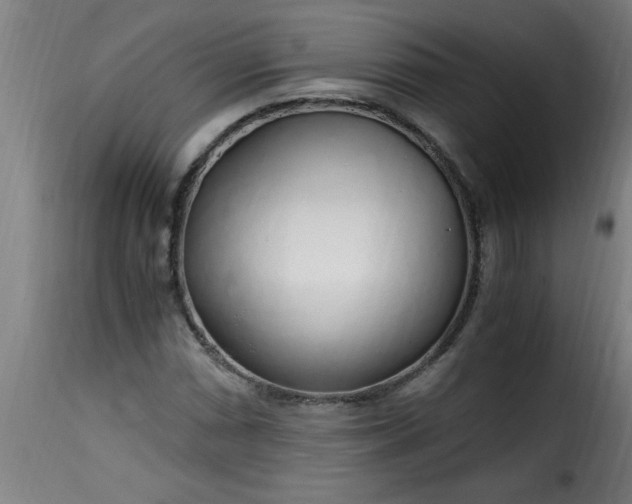 X0000115481066200911201834