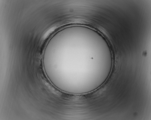 X0000115481067200911201834