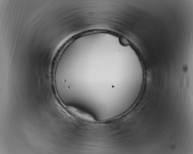 X0000115481068200911201834