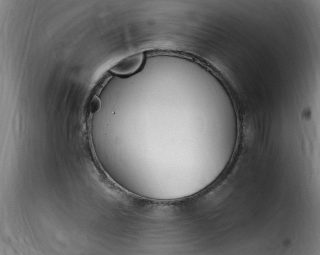 X0000115481070200911201834