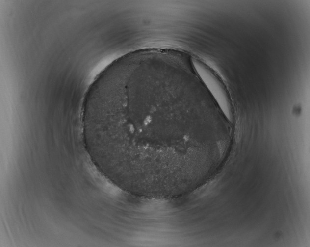 X0000115481071200911201834