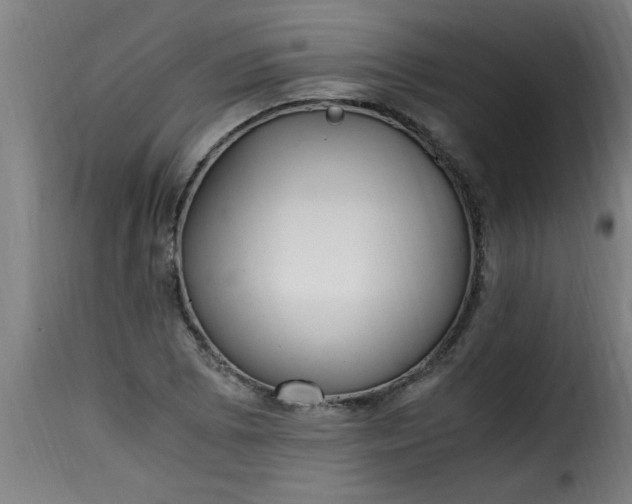 X0000115481073200911201834