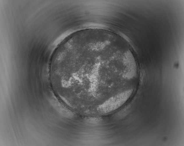 X0000115481074200911201834