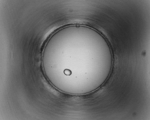 X0000115481075200911201834