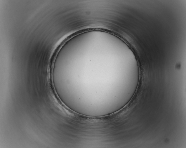 X0000115481076200911201834