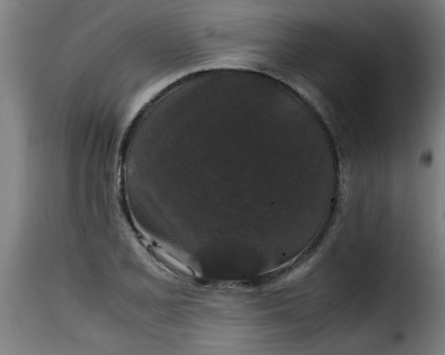 X0000115481077200911201834