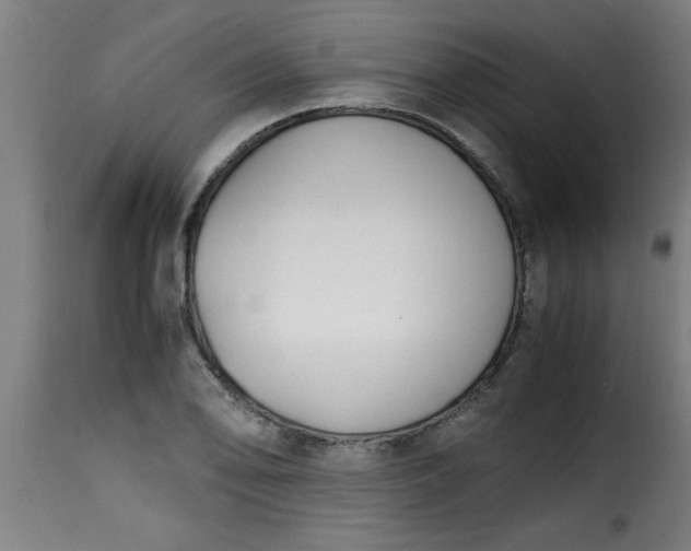 X0000115481078200911201834