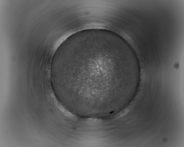 X0000115481081200911201834