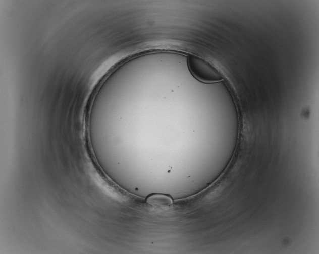 X0000115481082200911201834