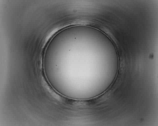 X0000115481083200911201834