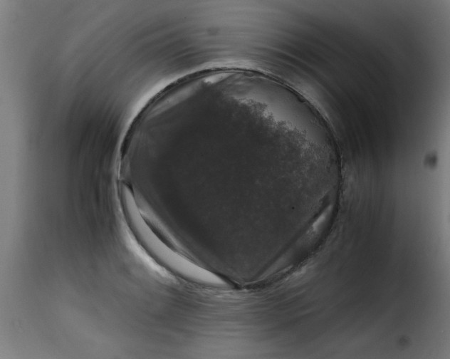 X0000115481084200911201834