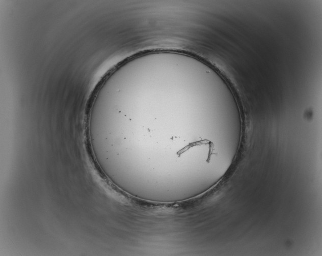 X0000115481085200911201834