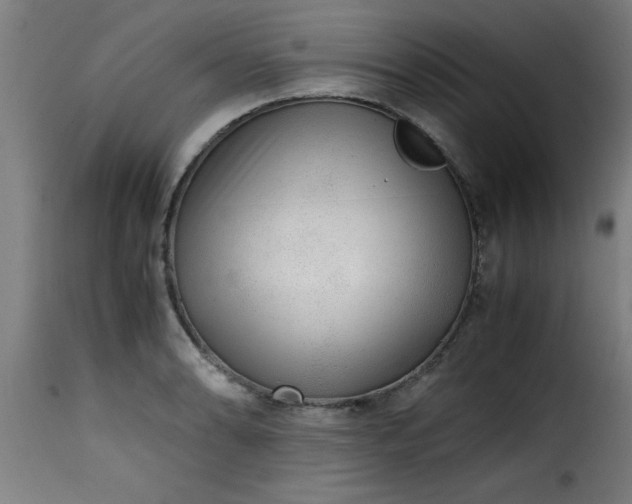 X0000115481086200911201834