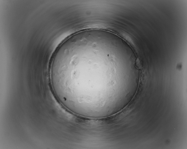 X0000115481087200911201834