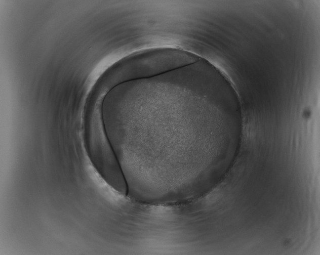 X0000115481088200911201834