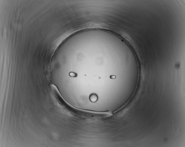 X0000115481089200911201834