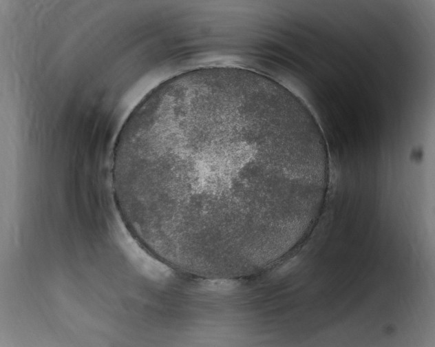 X0000115481090200911201834