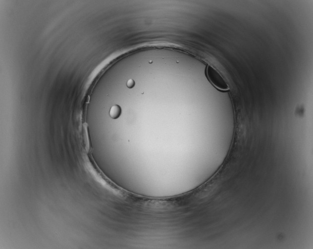 X0000115481092200911201834