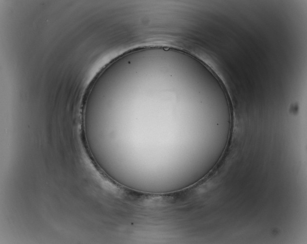 X0000115481093200911201834