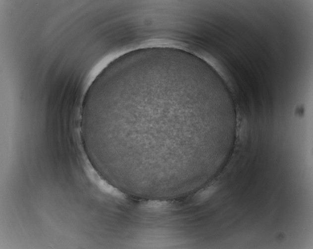 X0000115481094200911201834