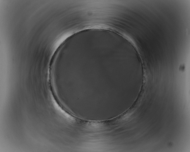 X0000115481095200911201834