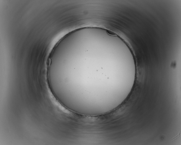 X0000115481096200911201834