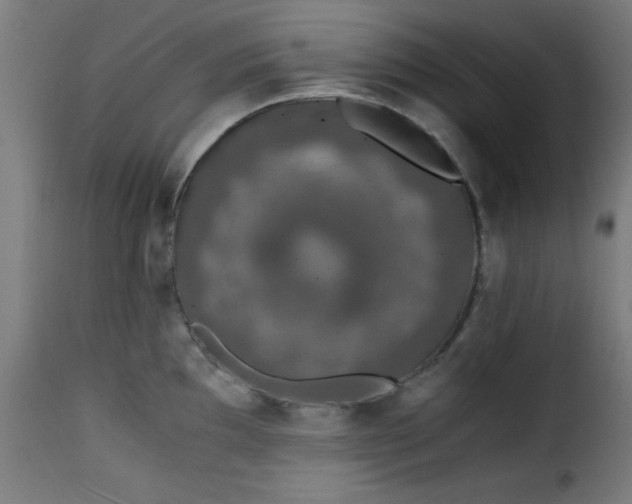 X0000115481097200911201834