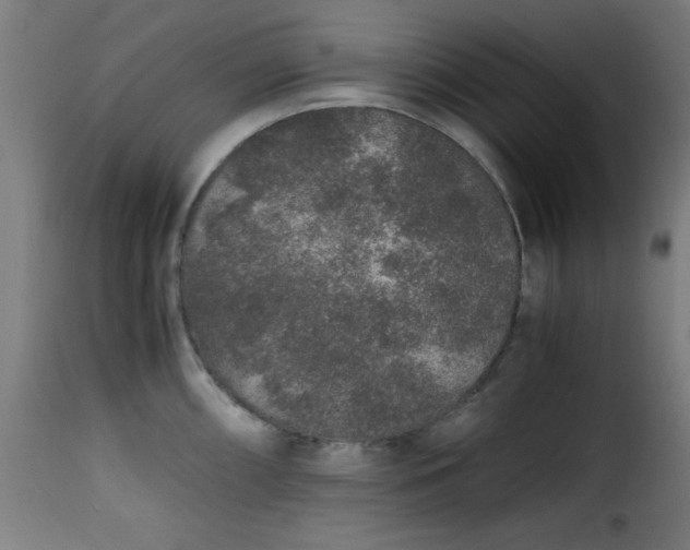 X0000115481098200911201834