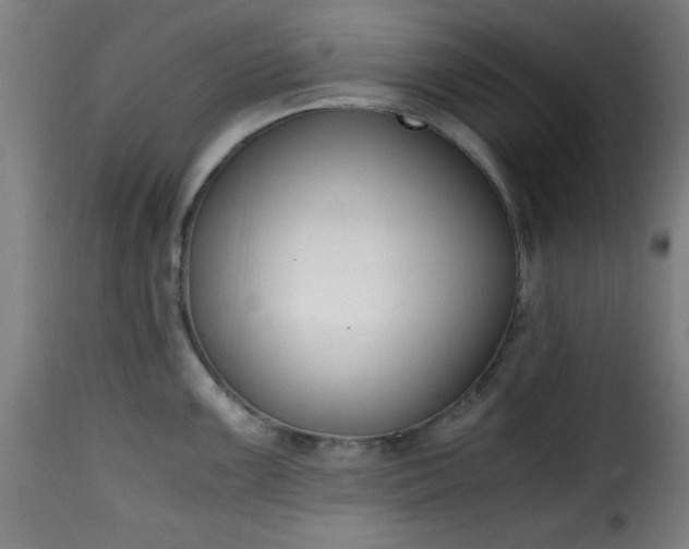 X0000115481099200911201834