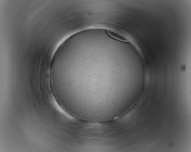 X0000115481100200911201834