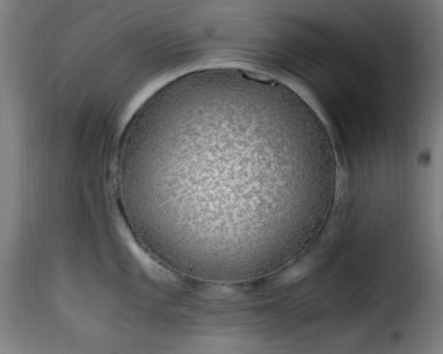 X0000115481101200911201834