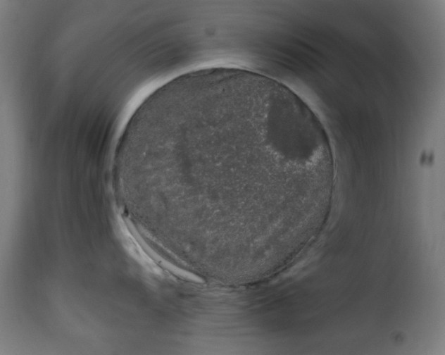 X0000115481104200911201834