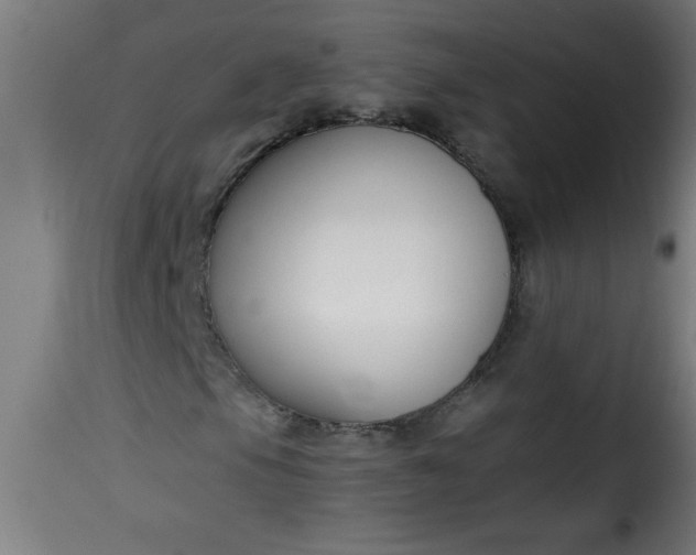 X0000115481105200911201833