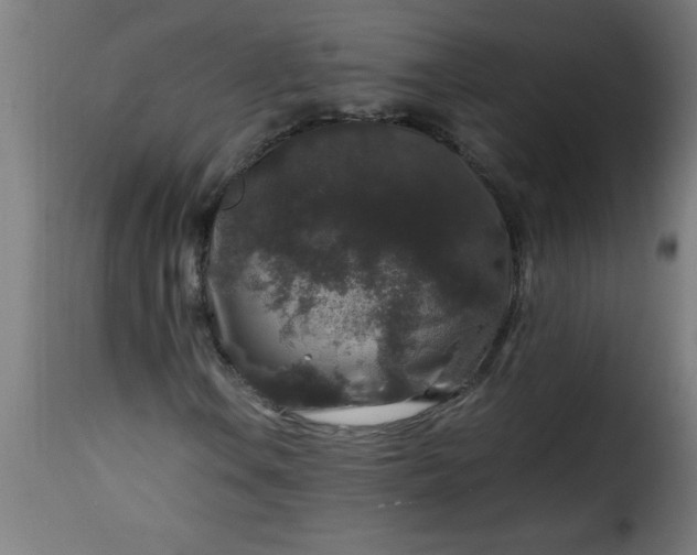 X0000115481106200911201833