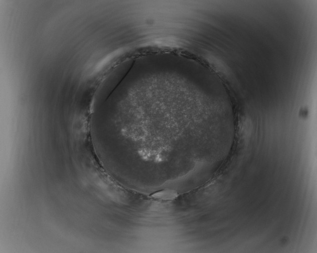 X0000115481110200911201833