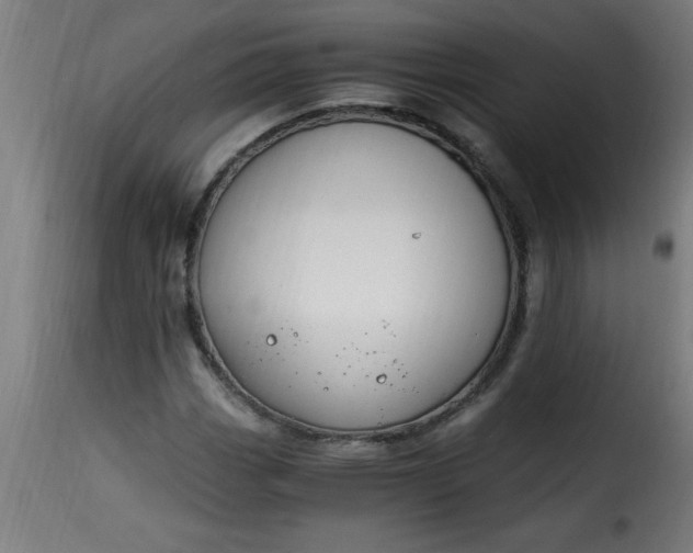 X0000115481113200911201833