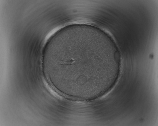 X0000115481114200911201833