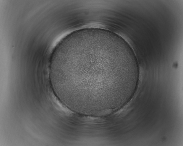 X0000115481115200911201833