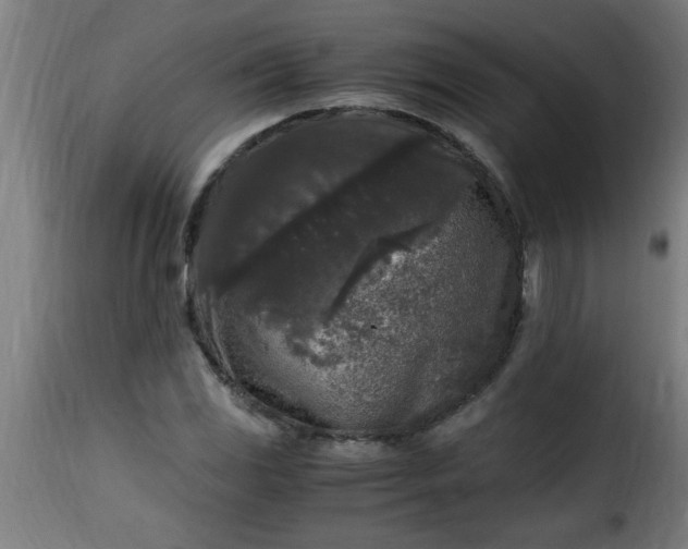 X0000115481117200911201833