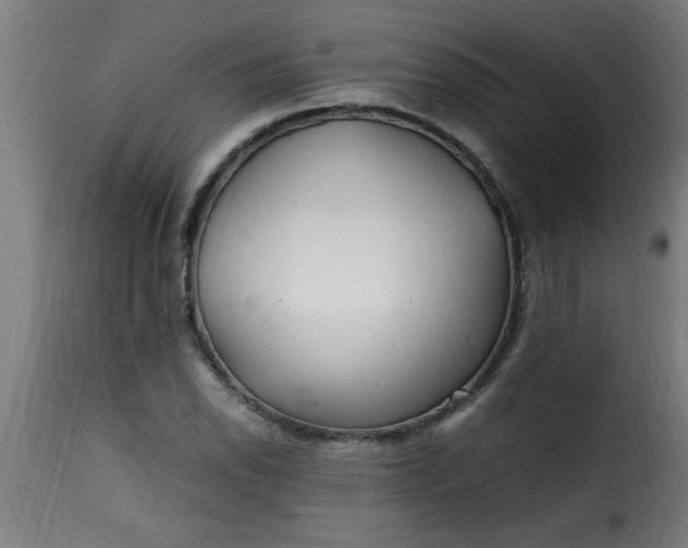 X0000115481118200911201833