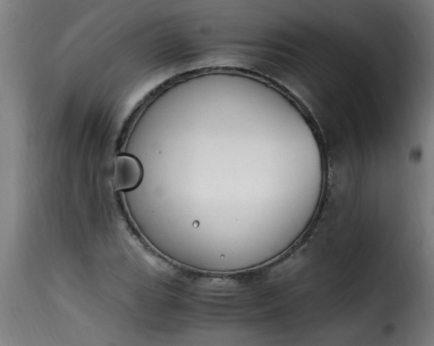 X0000115481119200911201833