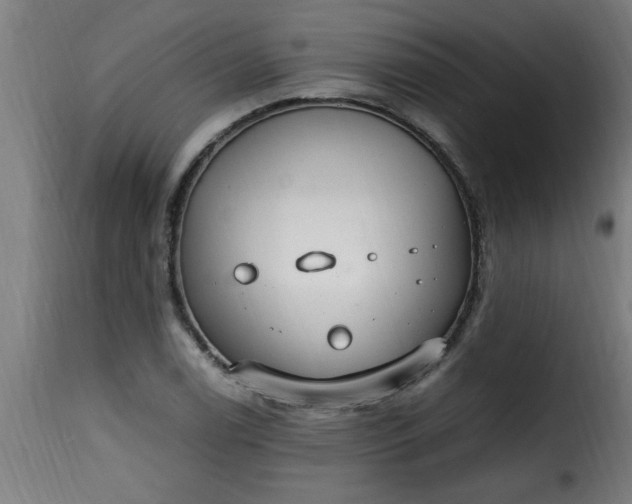 X0000115481122200911201833