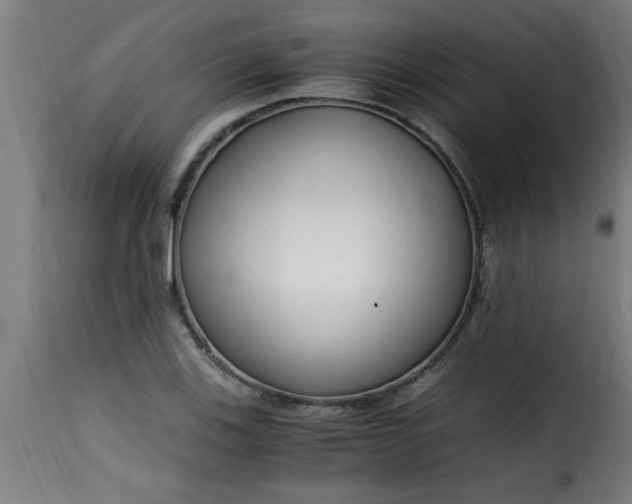 X0000115481123200911201833