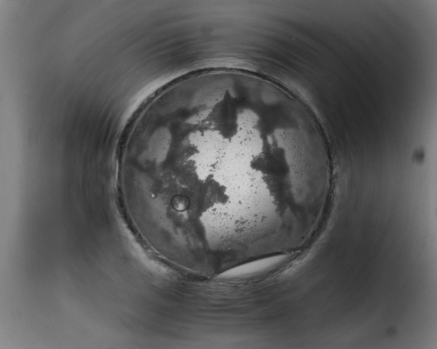 X0000115481125200911201833