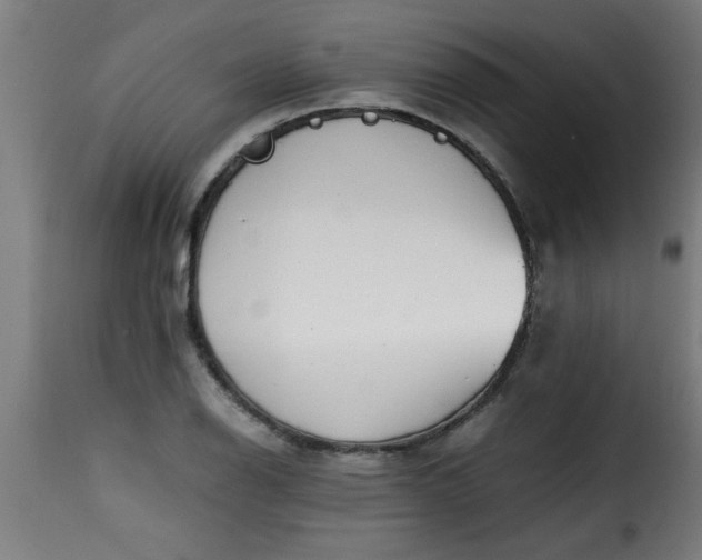 X0000115481126200911201833