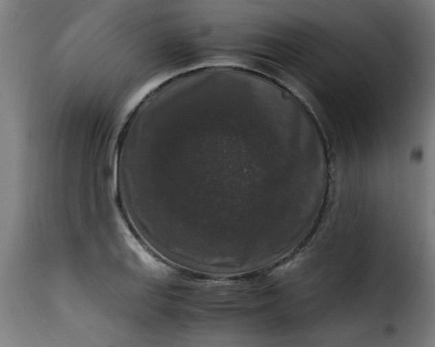 X0000115481127200911201833