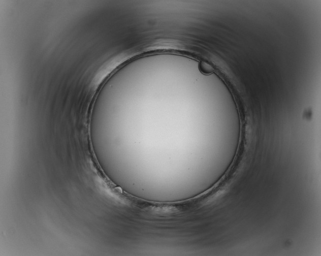 X0000115481129200911201833