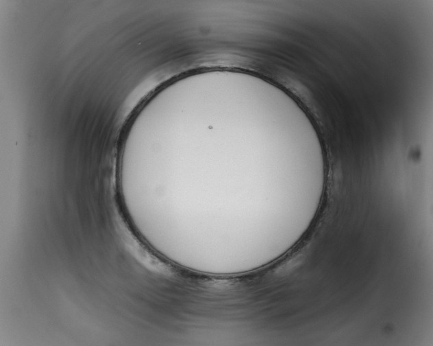 X0000115481130200911201834