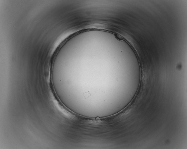 X0000115481131200911201834