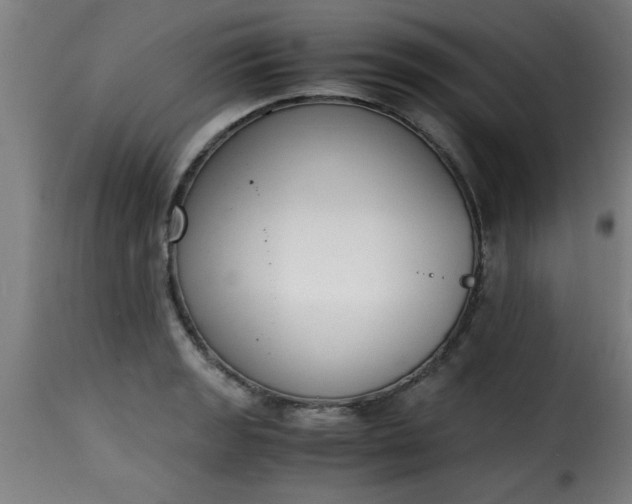 X0000115481133200911201834